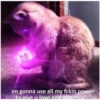 Love Cats (k2d7zjh83w)