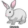 أرنب (5jzxv7wy4p)