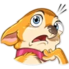 Chihuahua Chica (p2sn8bmwr7)