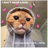 Love cats 2 (g9brs4qfxv)