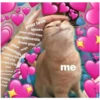Love cats 2 (qr47dmn2px)