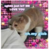 Love cats 2 (9hwfmb3n8q)