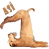 كلاب وقحة للرد (4537jmft6k)