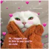 Love cats 2 (hftnw8cjgd)