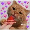 Love cats 2 (5hydc64v3j)
