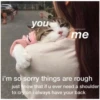 Love cats 2 (vj5gn9dtc8)