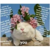 Love cats 2 (6yzwnp5r4s)