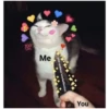 Love cats 2 (hq7jtvc3ng)
