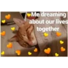 Love cats 2 (f5rxcybdtz)
