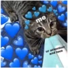 Love cats 2 (c59m72kqw8)
