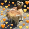 Love cats 2 (c9p5kd8hqs)