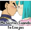VEGETA Y BULMA (wpgt28vzjs)