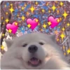 الاشياء الحب (r8tqzc4n6k)