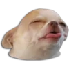 Lengüetazos (szmjhpt9xd)