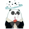 Panda Polar (We Bear Bears) PanPan (xt8brcp3v6)