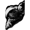 أبيض وأسود 2 (hv6wg8bm5f)
