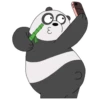 Panda Polar (We Bear Bears) PanPan (mjps9qxtgf)