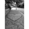 أبيض وأسود 2 (fsc8ybpkz3)