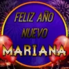 Feliz Año Nuevo 3🎆(Nombres) (vwn89sdp6z)