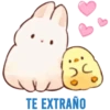 ADORABLE 1 (r5z4kfgsnw)