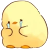 ADORABLE 1 (4dr6kbvsz5)