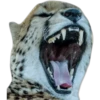تثاؤب كبير
