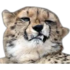 نظرة اشمئزاز