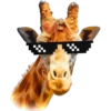 Thug Life (vhgzsdp5qj)