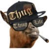 Thug Life (4m26g9kjqp)
