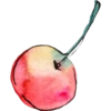 كرزة طازجة