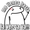 flork🙂ᥫ᭡ (pxnt5yj8f3)