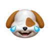 Memoji جرو (j7xmwpscbr)