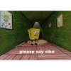 memes vol. 2 (9hd7fx4jqs)