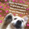 safe place <3 (vgmrtk4dbw)
