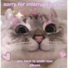 safe place <3 (63nb9vgwxq)