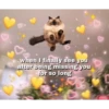 safe place <3 (myx9j3hbqs)