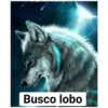 Furros (bh835nk4sw)
