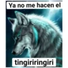 Furros (n5wxf6zbqr)