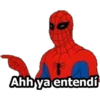SPIDERMAN (rsztmdh6w4)