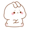 Bunny・ω・🐰🩷 (kg3qpv9wbt)