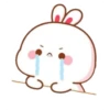 Bunny・ω・🐰🩷 (3h7y9wj8dz)