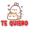 🐰Lovely tooji🐇 (s2jgc5hvqf)
