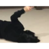 MEMES 1 (7gxt5wzrsq)