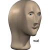 MEMES 1 (vqh76pzwx3)