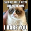 Grumpy Cat Edition 2🐾 (29ns7rdmpv)