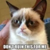 Grumpy Cat Edition 2🐾 (nywrzb8j7x)