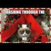 Grumpy Cat Edition 2🐾 (38ry947vzk)