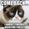 Grumpy Cat Edition 2🐾 (2tjxdkmg3y)