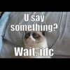 Grumpy Cat Edition 2🐾 (mhfbc6gsky)