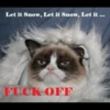 Grumpy Cat Edition 2🐾 (dm6q3wgcnz)